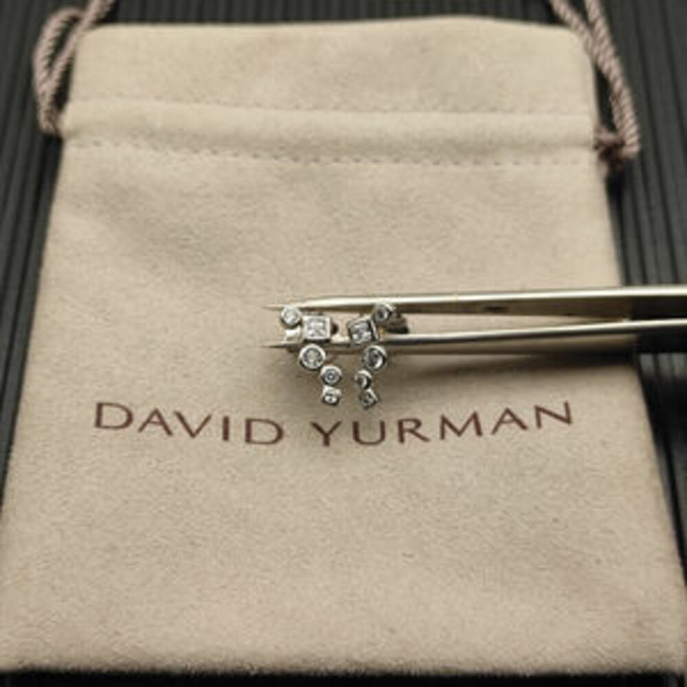 David Yurman Silver Paisley Earrings